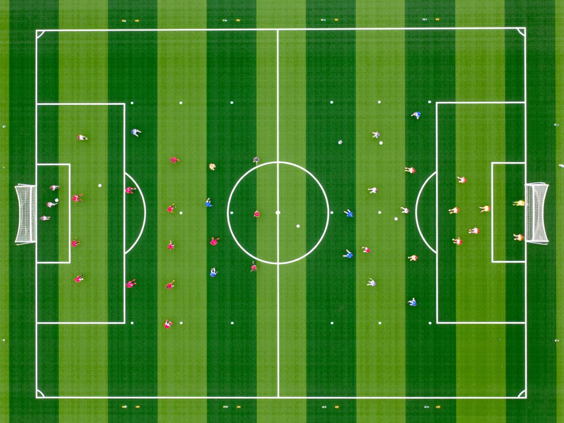 九游体育-技术节奏图显示蛙泳冠军控制完美，蛙泳冠军视频欣赏  第3张